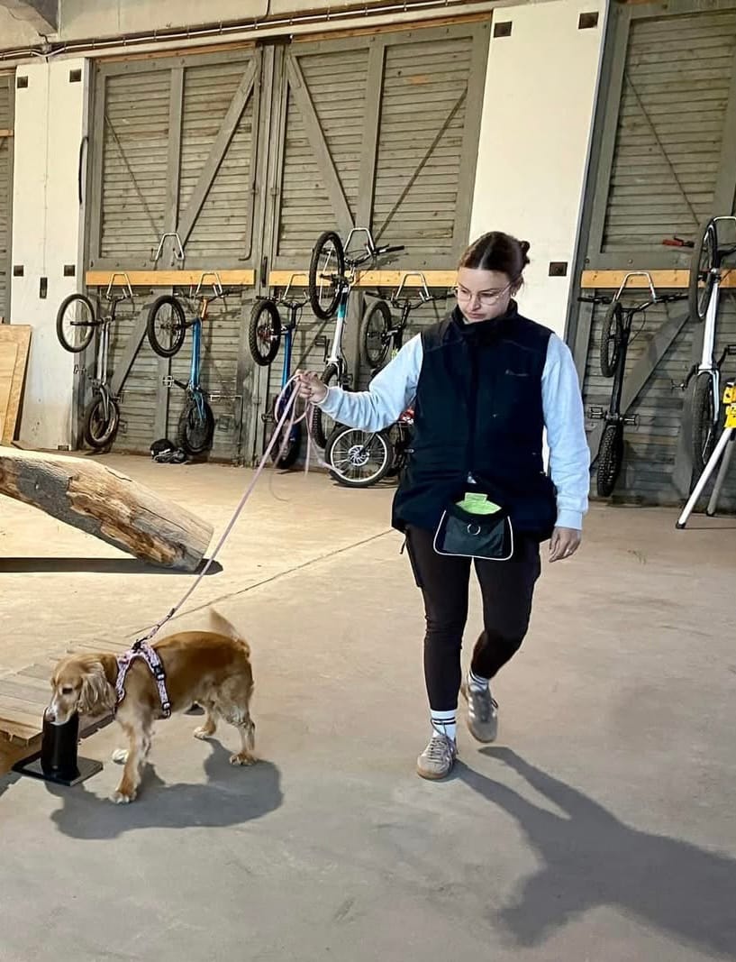 Customer photo review of FeelFree Dog Walker Tights | Bison | Coco