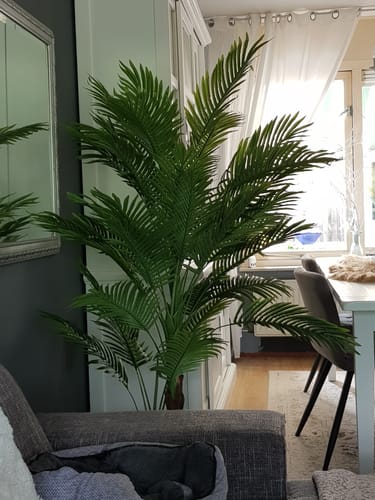 Customer photo review of Kunstpalm 180cm