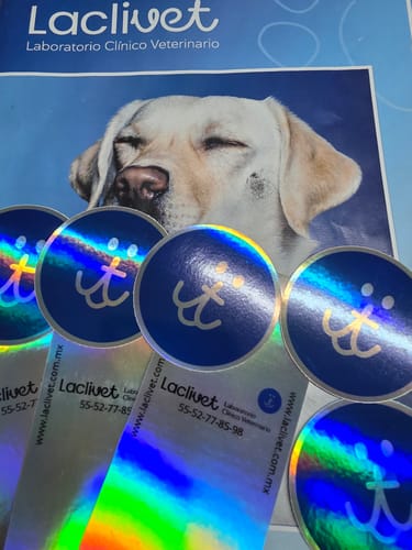 Customer photo review of Stickers Holográficos