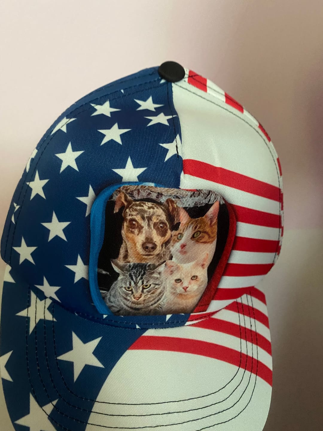 Customer photo review of Personalized Pet Hat, Gift For Pet Lovers