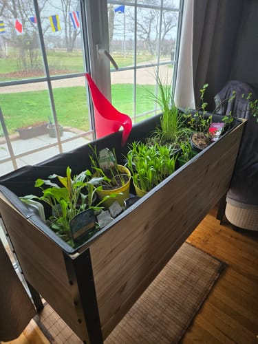 Customer photo review of 18" x 48" Raised Garden Bed - 30" TALL