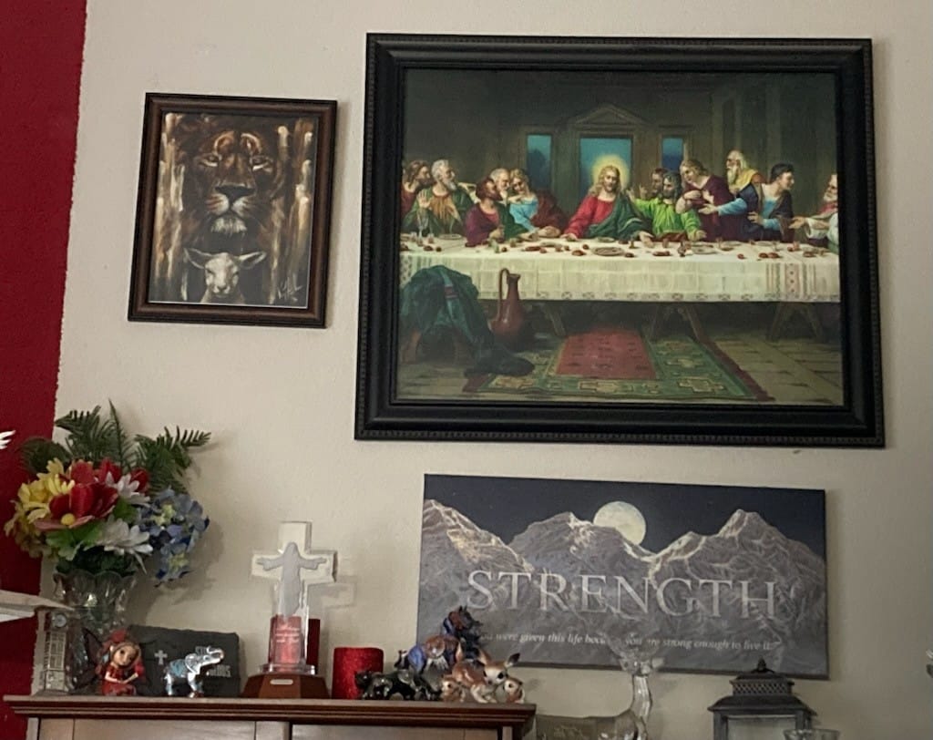 Customer photo review of The Lion and Lamb Passover (Fall Collection)