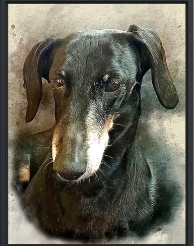 Customer photo review of Personalized photo Painting