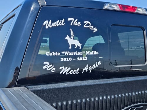 Customer photo review of German Shepherd with Wings Custom In Loving Memory Decal