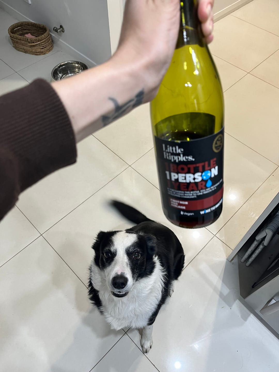 Customer photo review of Pinot Noir - Single Bottle
