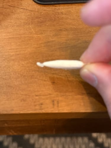 Customer photo review of Mountain Wintergreen Nicotine Pouches