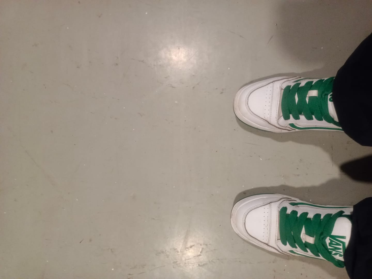 Customer photo review of Zapatilla Vans Hylane Unisex Blanco
