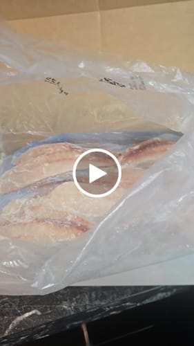 Customer video review of 5KG Snapper Fillets (Skinned and Boned) Frozen