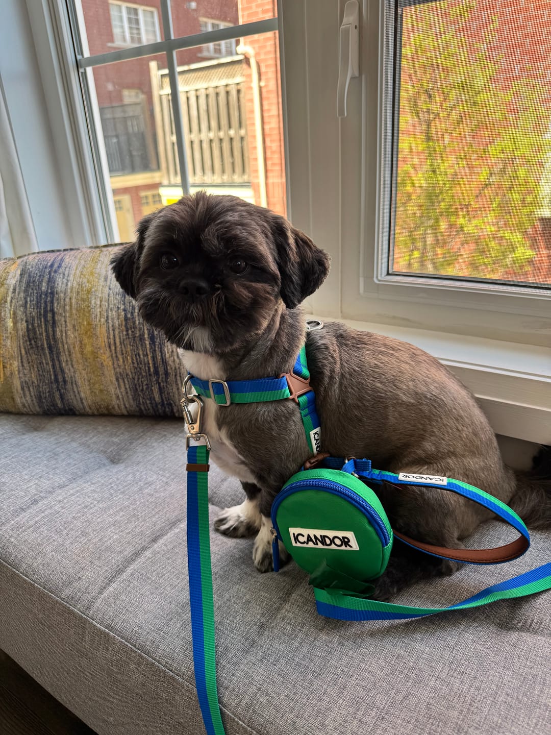Customer photo review of Dingle Dangle Poop Bag Pouch (Forset)