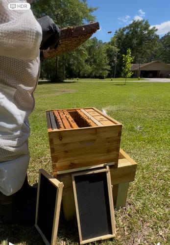 Customer photo review of BeeCastle Hives 10 Frame 2 Layer Screened Bottom Board Wax Coat Beehive Kit with 1 Deep Bee Box,1 Honey Super Bee Box, Wooden Frames and Beeswax-Plastic Foundation for Optimal Ventilation and Productive Beekeeping