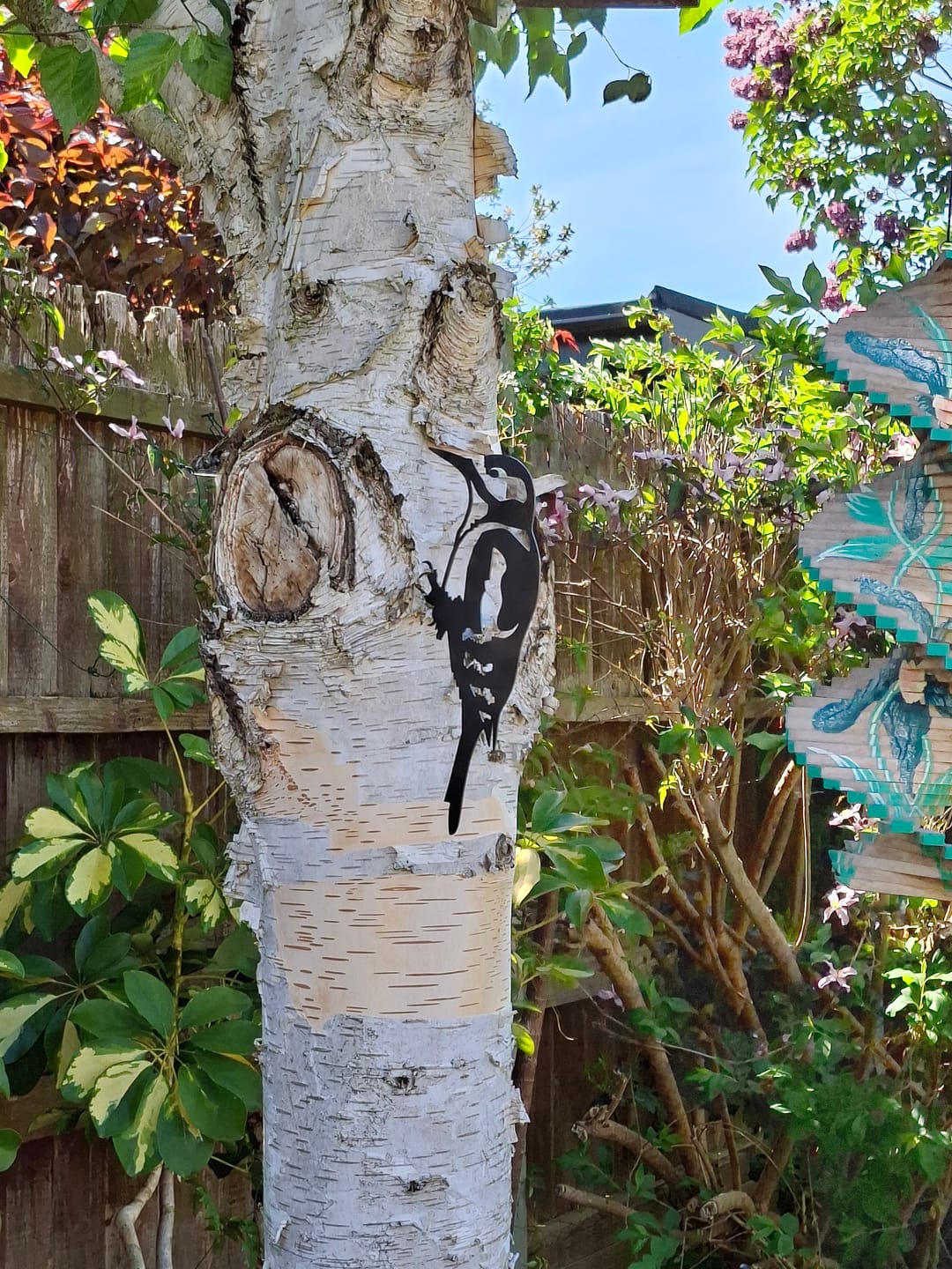 Customer photo review of Great Spotted Woodpecker