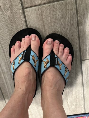 Customer photo review of German Shepherds