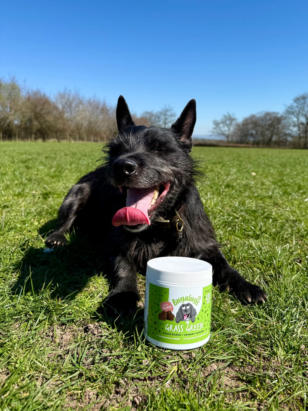 Customer photo review of Grass Green Supplement Chews for Dogs