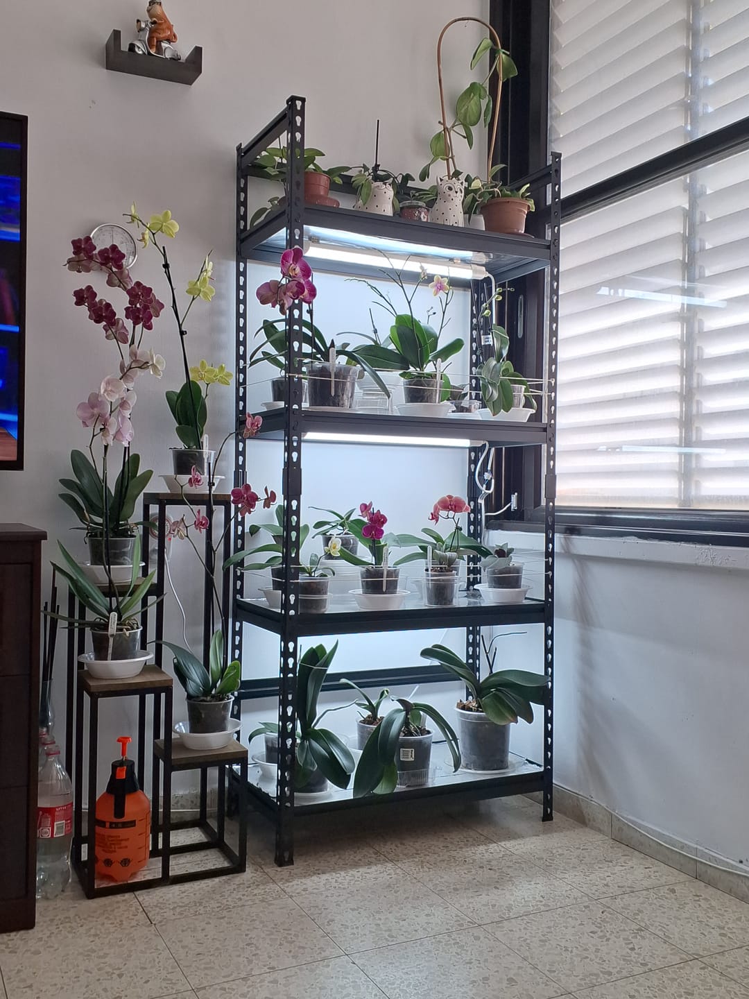 Customer photo review of כוננית מתכת פרמיום 5 מדפים מודולריים גובה 1.8 מטר