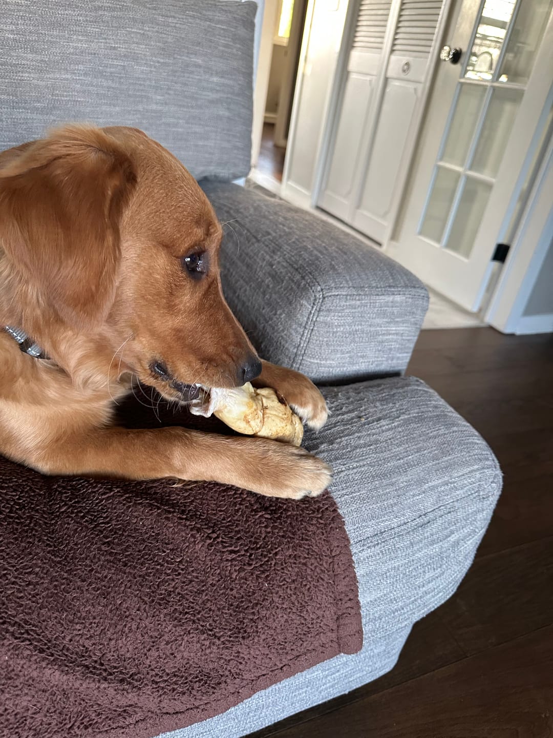 Customer photo review of 5-6 Inch Peanut Butter Cheek Roll