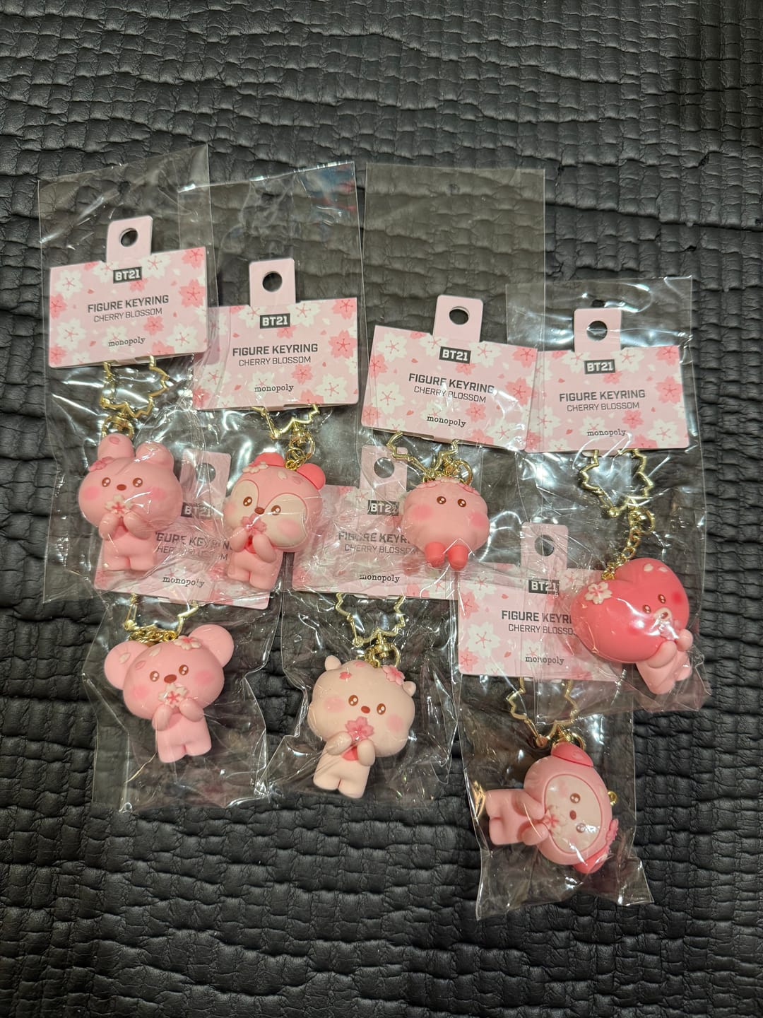Customer photo review of BT21 [Spring Days Cherry Blossom] Figure Keyring