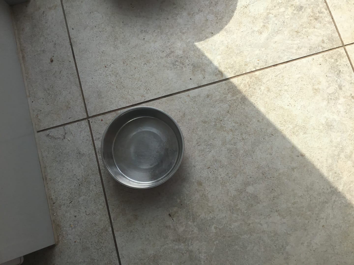Customer photo review of Scottish Salmon Dry Food