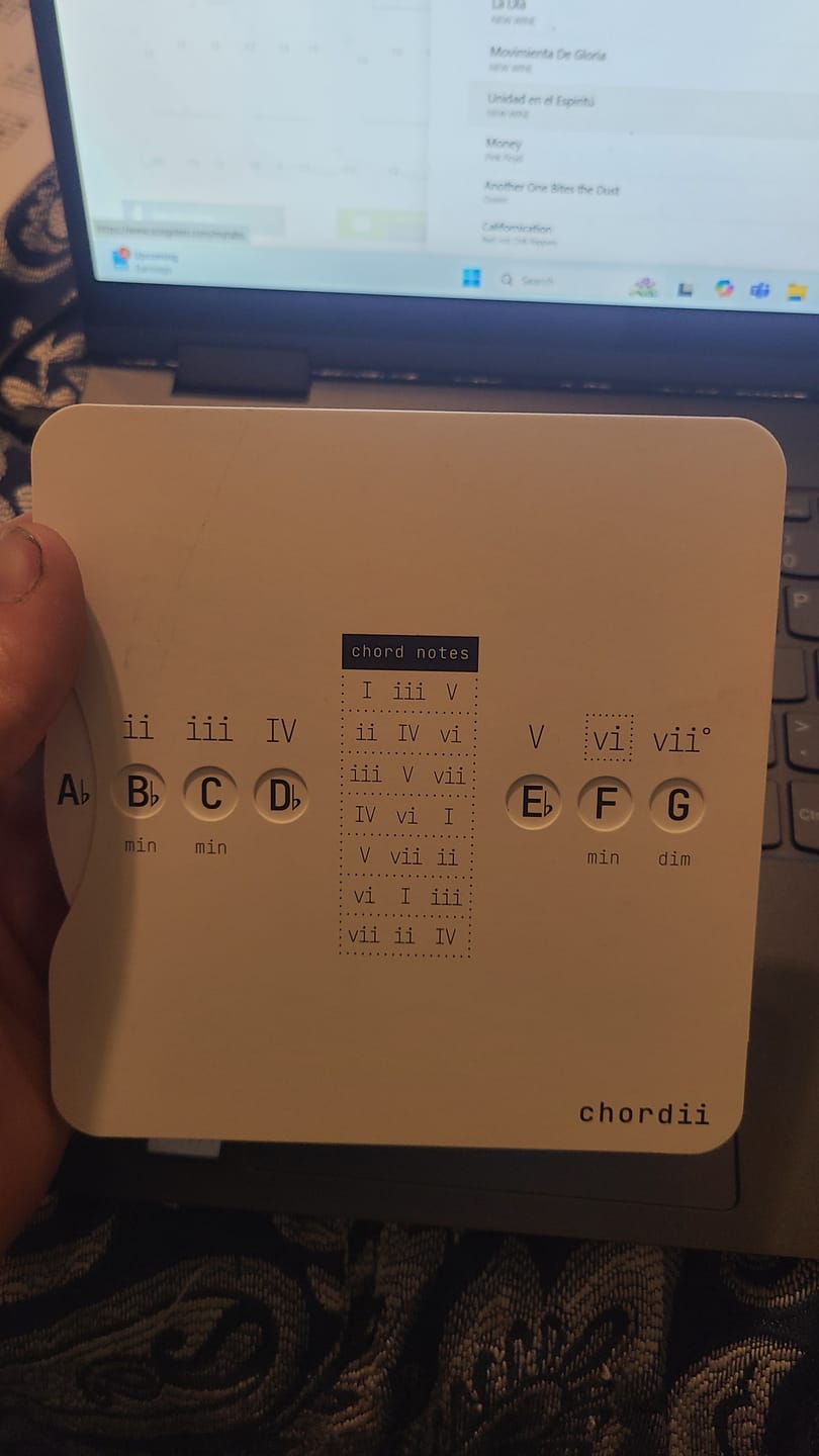 Customer photo review of Chordii