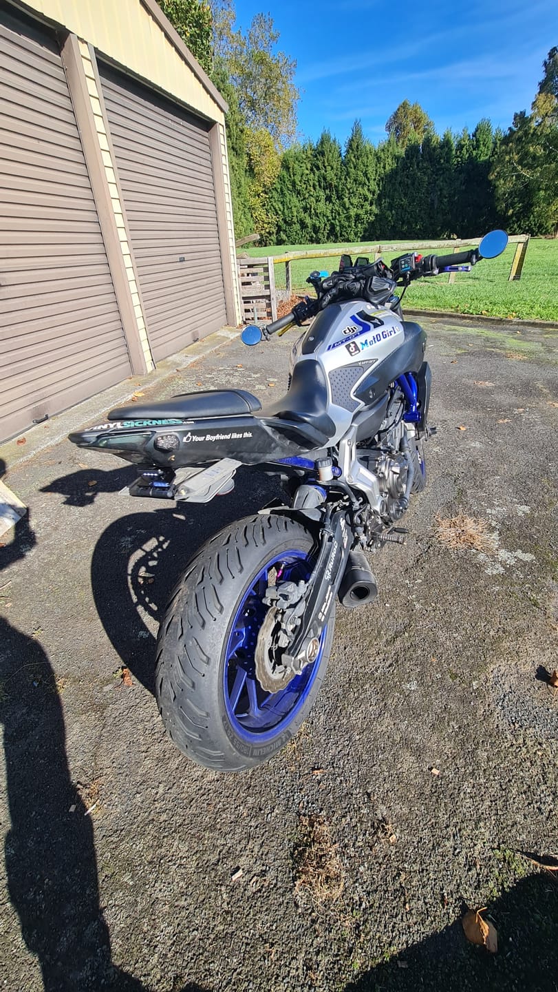 Customer photo review of Number Plate Light