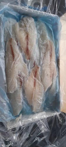 Customer photo review of 5KG Snapper Fillets (Skinned and Boned) Frozen