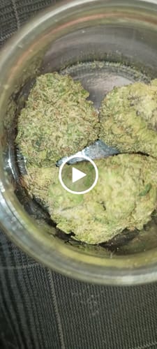 Customer video review of Lemon Cherry Gelato