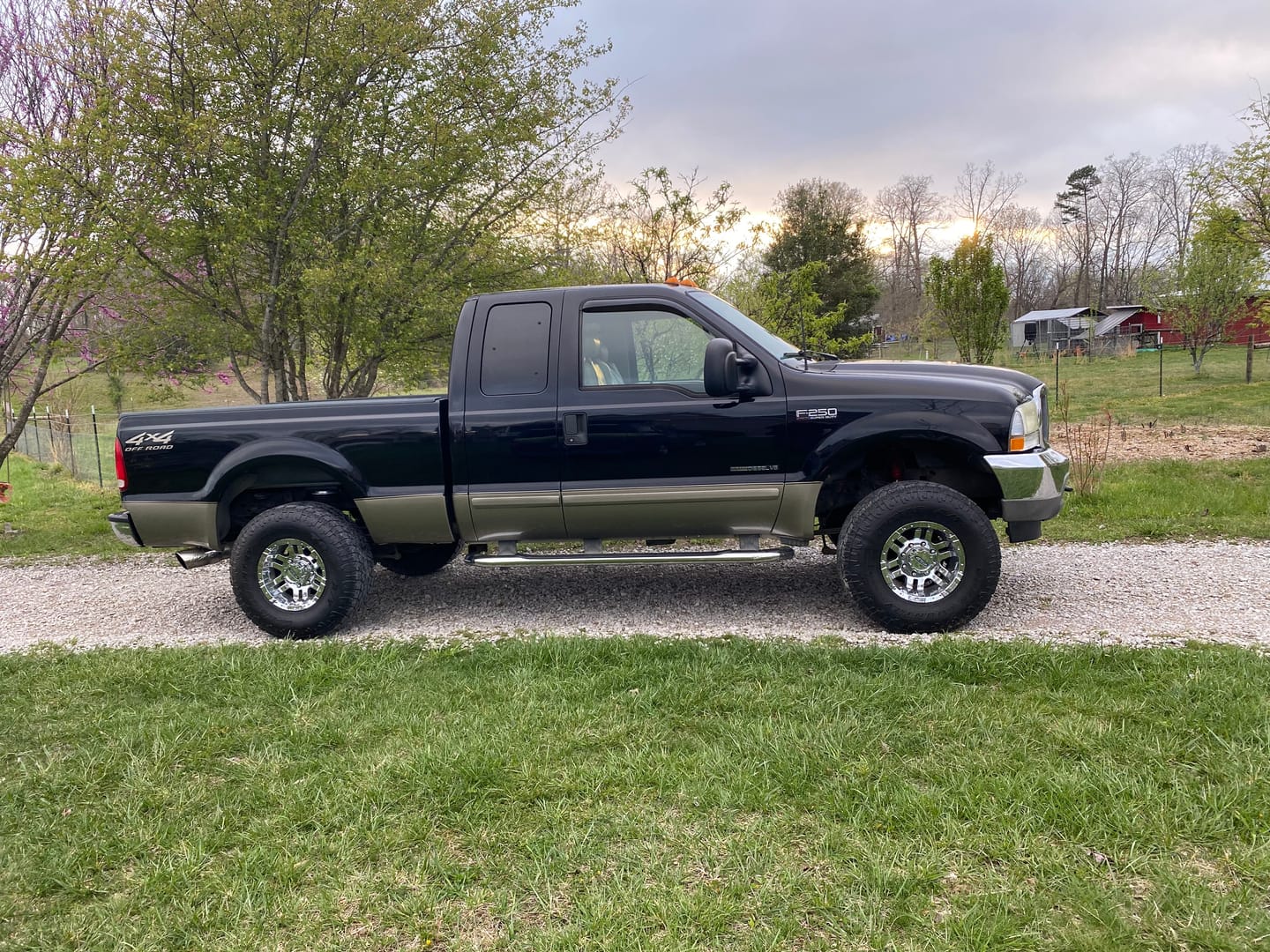 Customer photo review of Hydra Chip With JeliBuilt Tuning