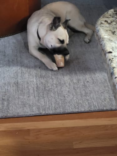 Customer photo review of Beef Gullet Jerky Sticks 6"