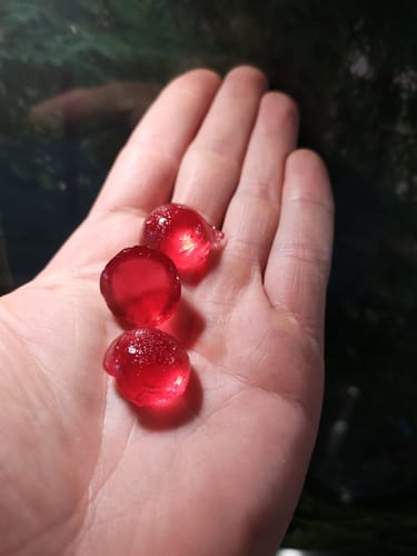 Customer photo review of THC Spacejellies Vollspektrum | 100mg THC | 20 Stk.
