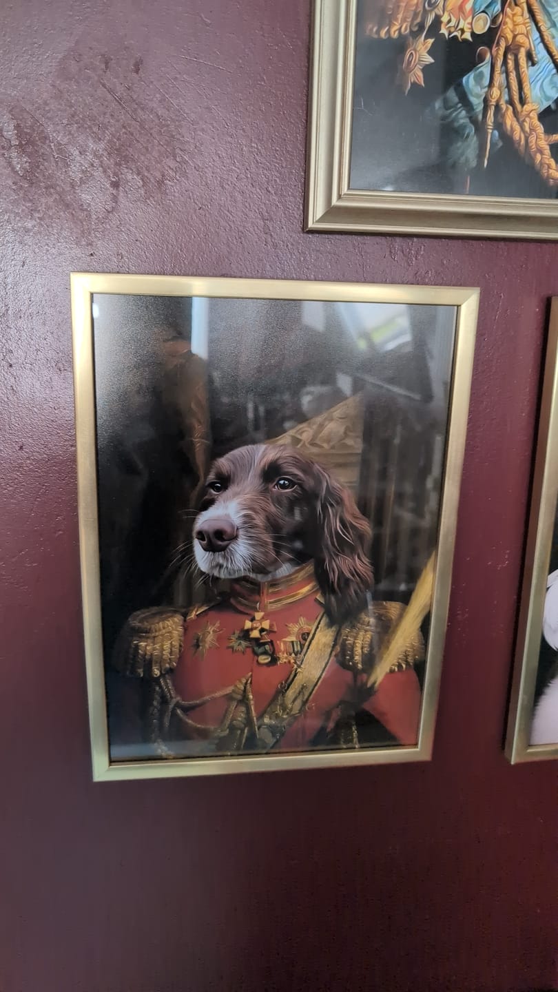 Customer photo review of The Duke: Custom Pet Portrait