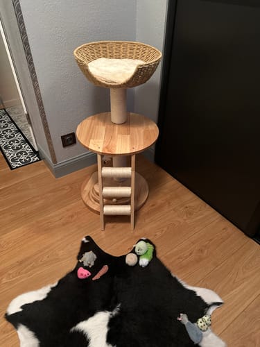 Customer photo review of Arbre à chat - Tour Miauleur