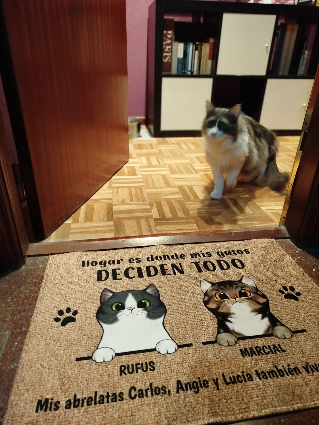 Customer photo review of Bienvenidos a lo de gatos curiosos - Felpudo personalizado