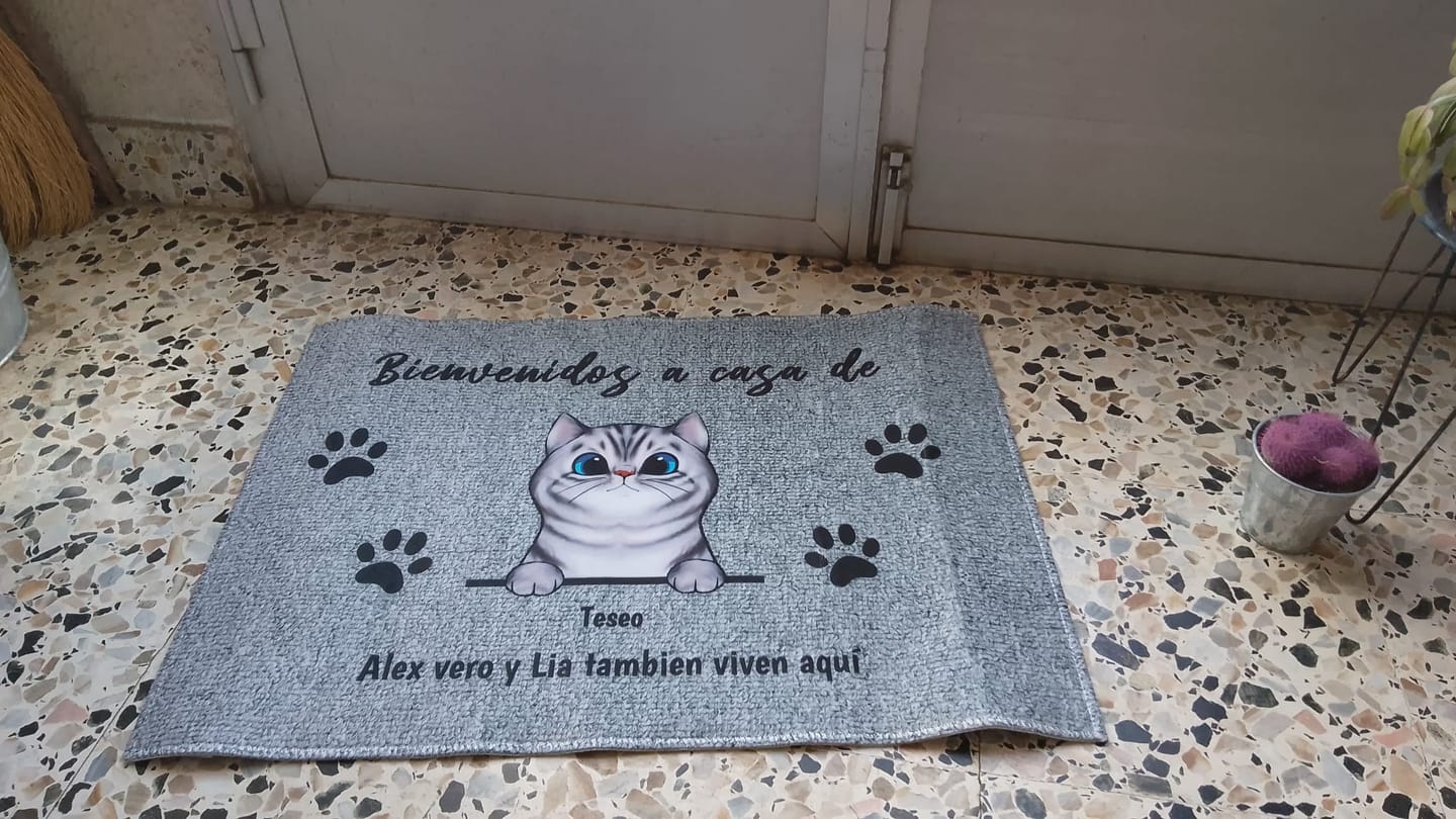 Customer photo review of Bienvenidos a lo de gatos curiosos - Felpudo personalizado