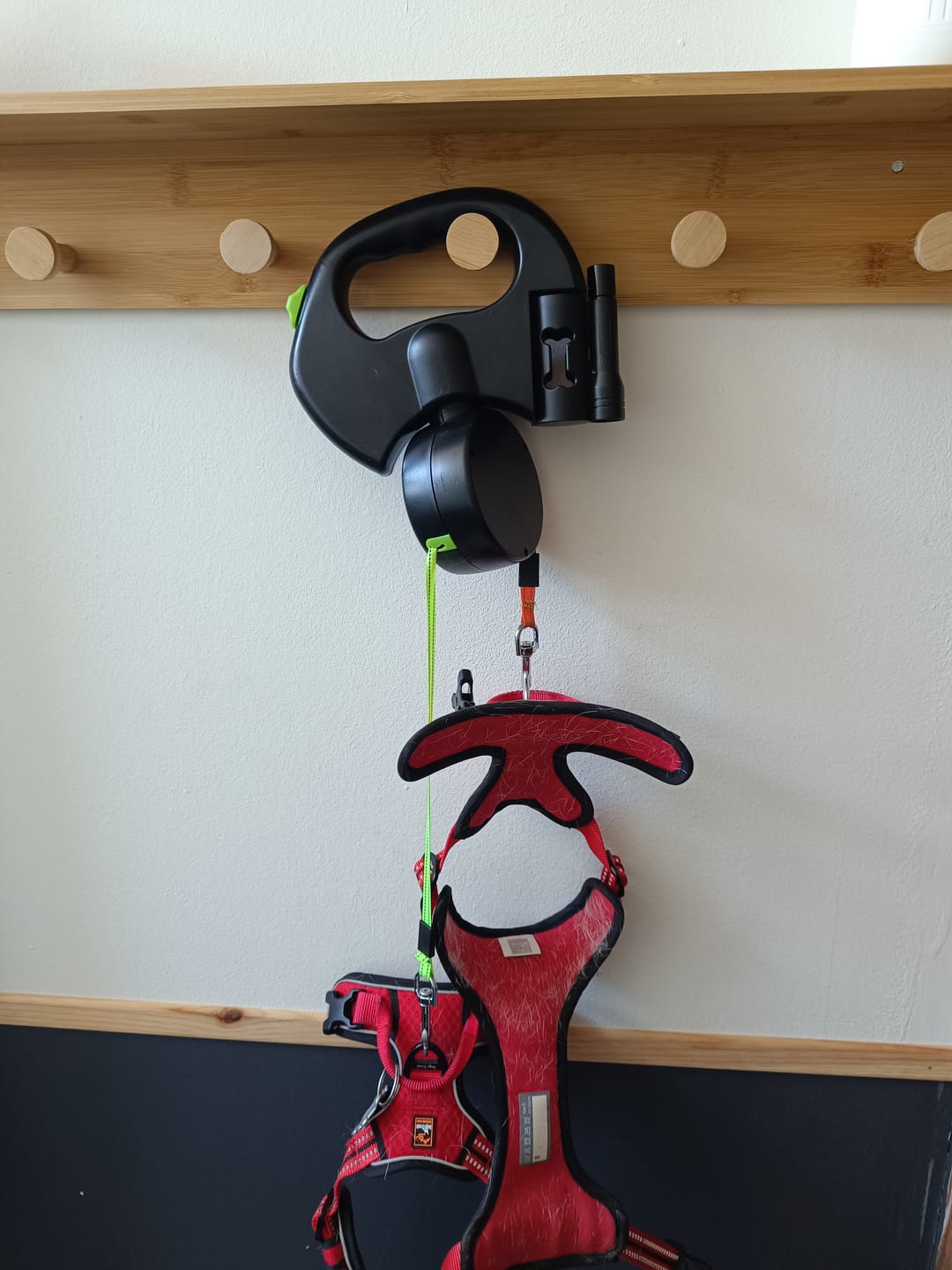 Customer photo review of Double laisse rétractable anti-emmêlement