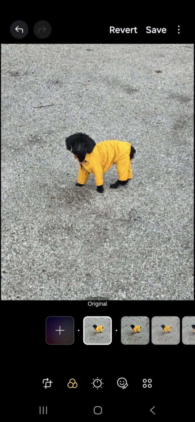 Customer photo review of Nylon Coverall