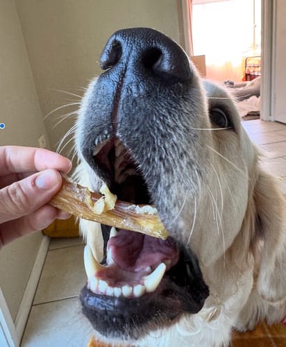 Customer photo review of Beef Paddywack