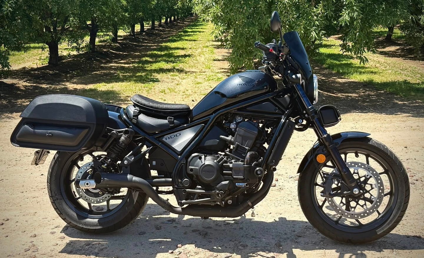 Customer photo review of 28L - Pantheon Medium Quick Mount Honda Rebel 1100 Motorcycle Saddlebags