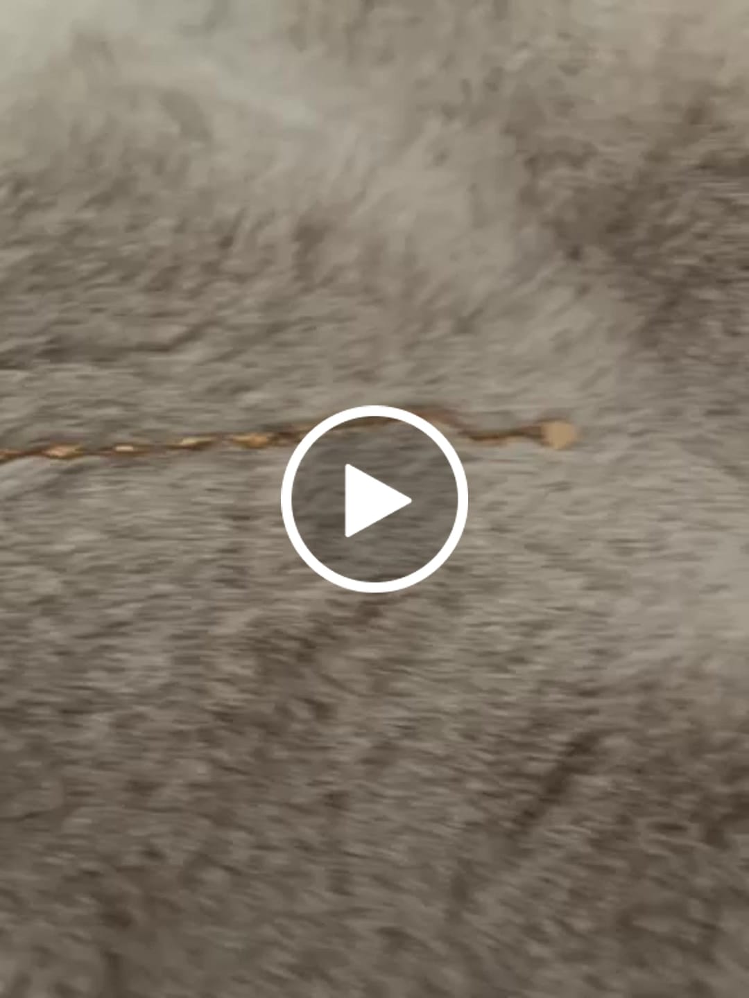 Customer video review of Personalised Medical Alert Heart Link Bracelet - Rose Gold