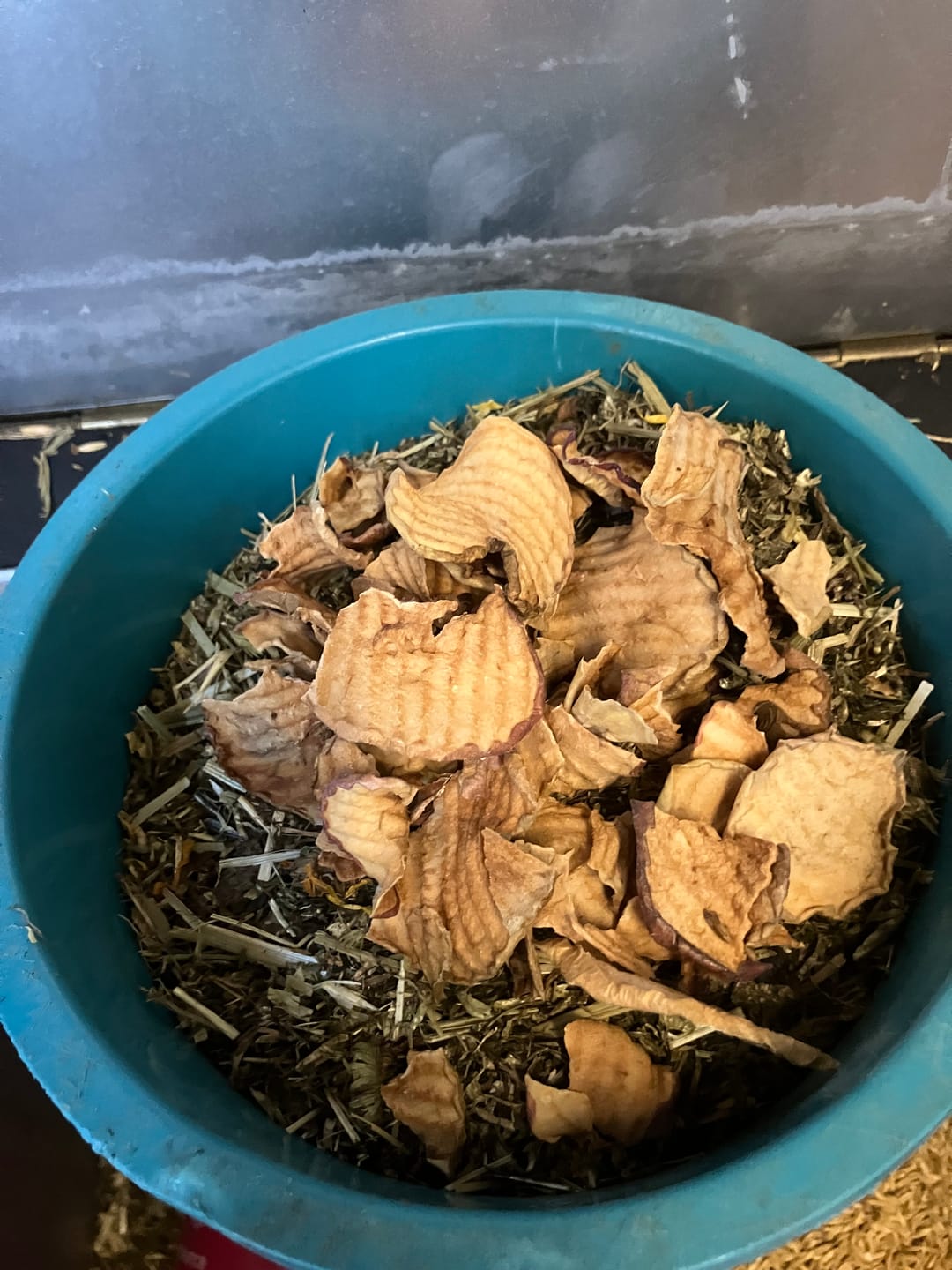 Customer photo review of Apfel Chips