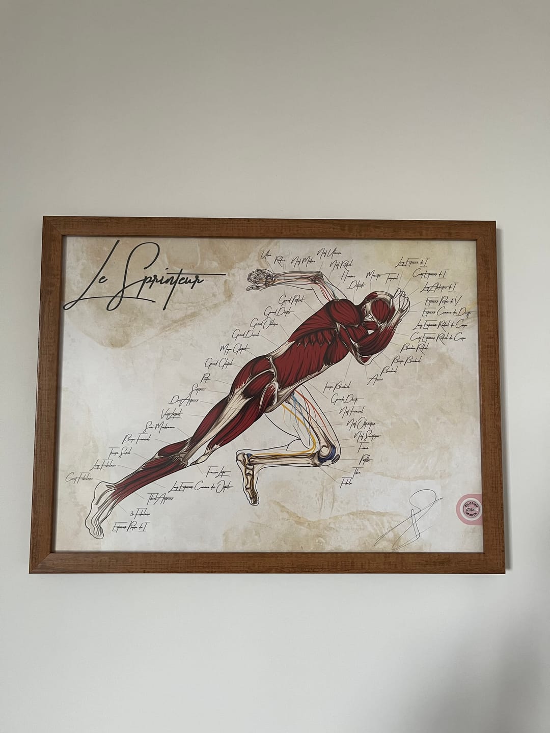 Customer photo review of Planche anatomique du sprinteur