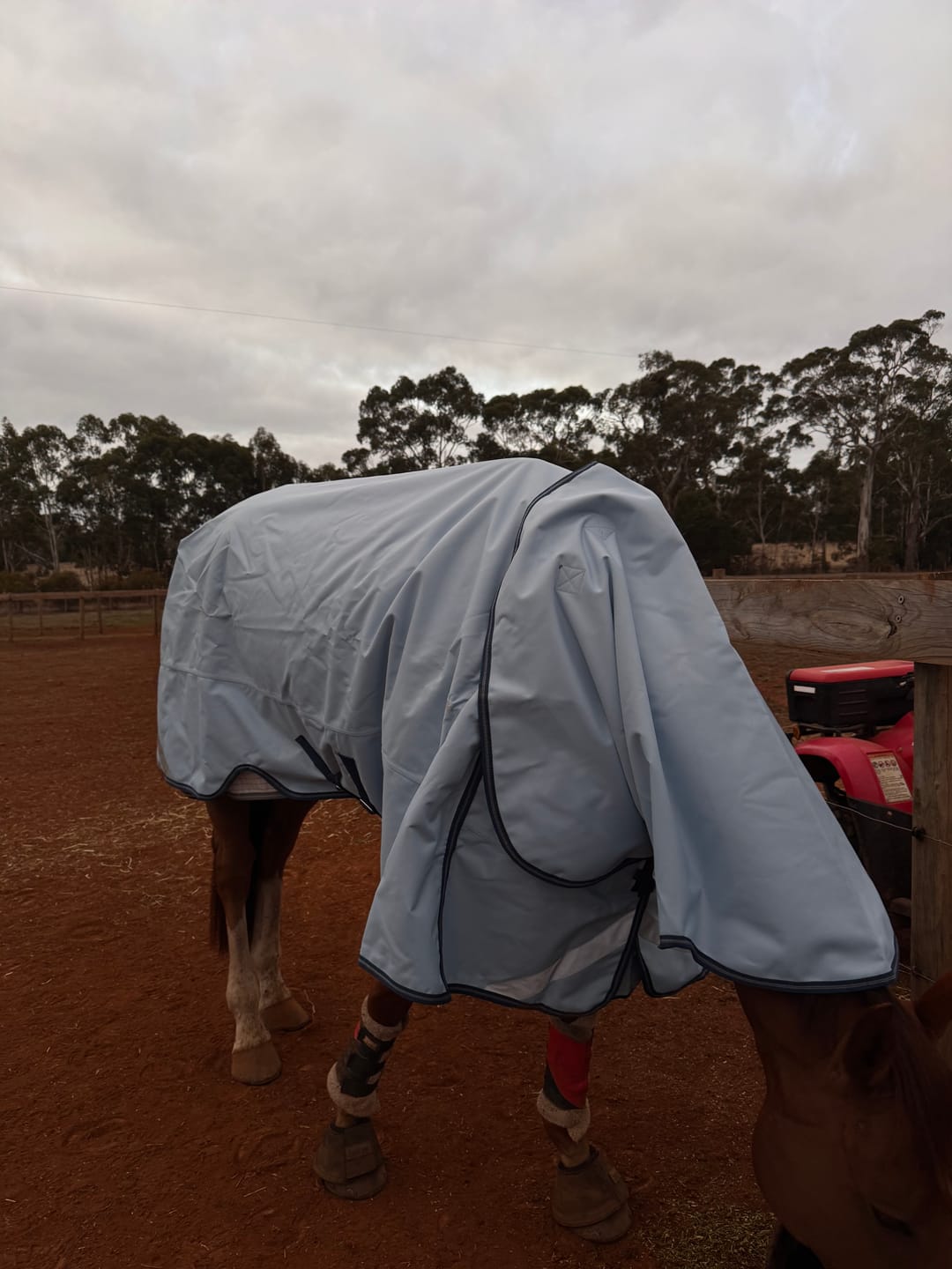 Customer photo review of LE Boxter Turnout 0g