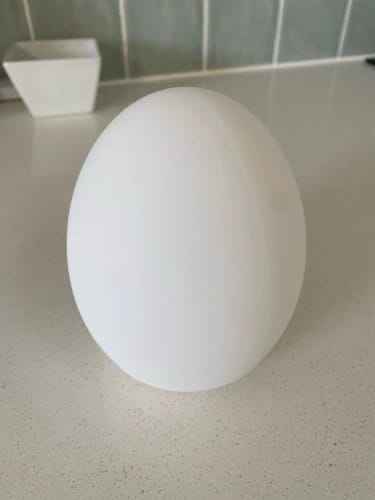 Customer photo review of Silicone Egg Night Light RGB Wireless Intelligent Dimmable LED Lamp Desktop Remote Control Bar Cafe