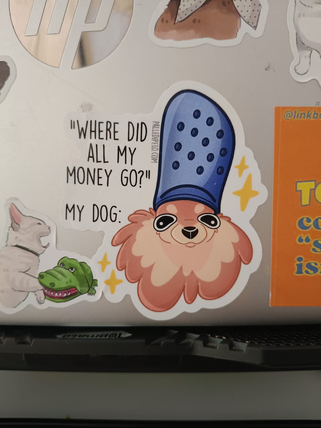 Customer photo review of Sticker Cane