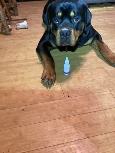 Customer photo review of Pure CBD Isolate Oil