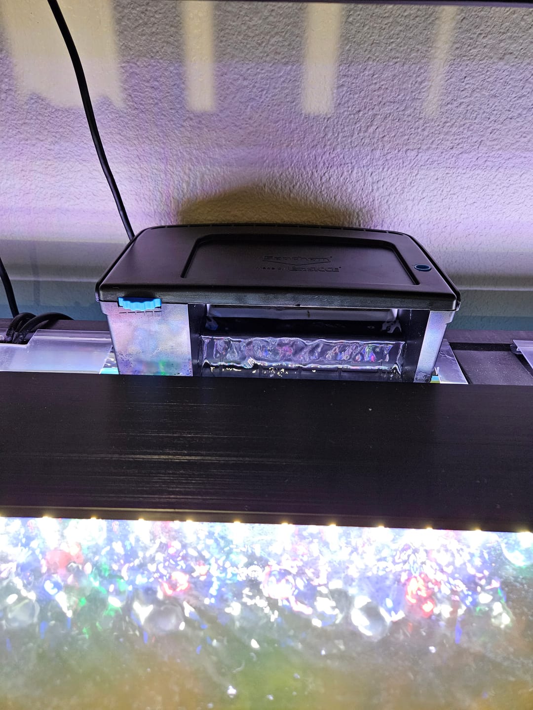 Customer photo review of Tidal Power Filters From Seachem/Sicce