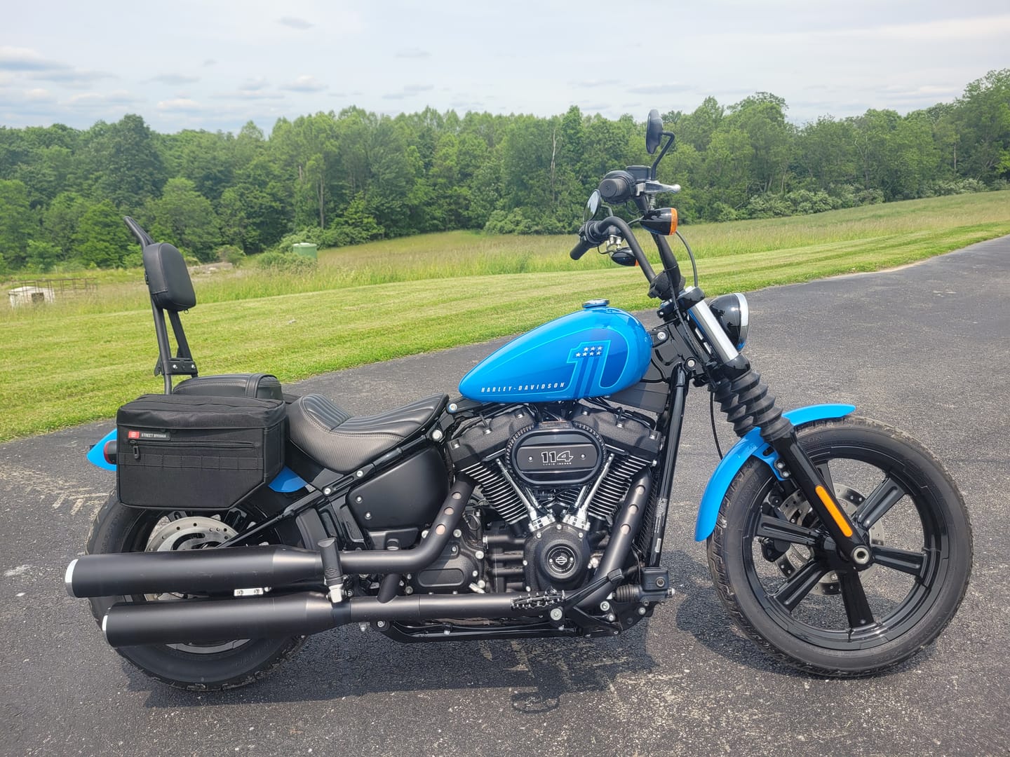 Customer photo review of Viking Iron Born Plain Leather Short Motorcycle Backrest Pad for Harley Davidson Foldable Sissy Bar