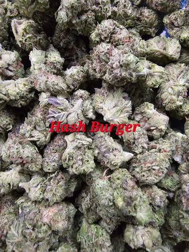 Customer photo review of Hashburger - Bulk Littles - Indica