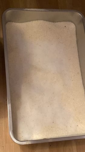 Customer photo review of 1 Month Supply - 1 Cat - One-Time Purchase