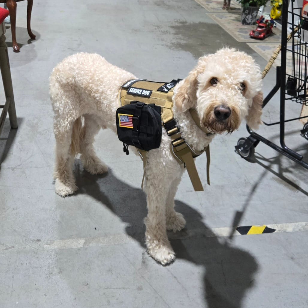 Customer photo review of Tactical Utility MOLLE Pouch For Harness (3-Piece Set)