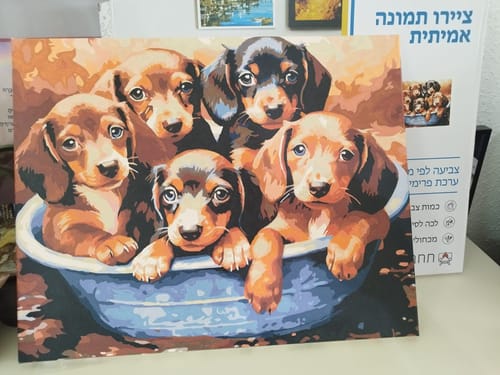 Customer photo review of צביעה לפי מספרים - PBN0625