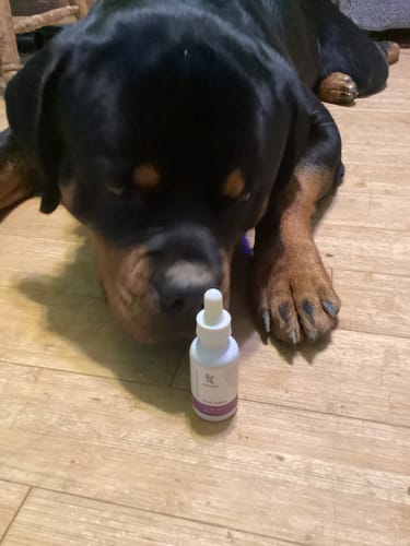 Customer photo review of Pure CBD Isolate Oil